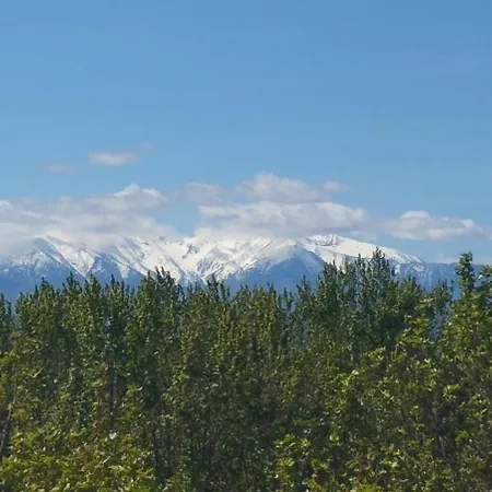 With 2 Terraces And Views Of Canigou-corbieres Apartment *